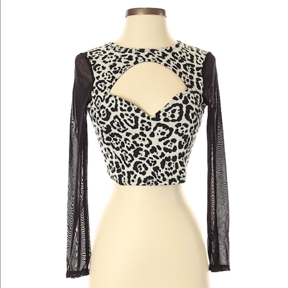 Nasty Gal Cheetah Crop Top New - Picture 4 of 5